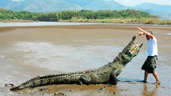 Tarcoles River Tour