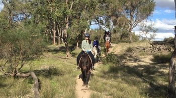 Guided Billabong Horseback Ride