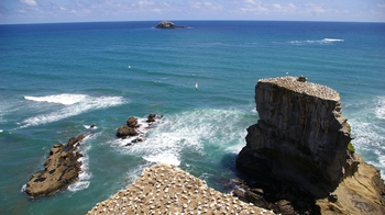 Private Full-Day Tour of Auckland's West Coast