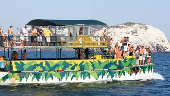 Catamaran Cruise & Stone Island ATV Tour