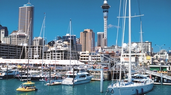 Pre-Cruise Shore Excursion: Self-Guided Auckland Tour with Transfers