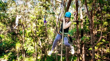 Admission to TreeTop Challenge High Ropes Adventure Park