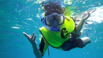 Guided Snorkeling Tour