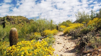 Private Half- or Full-Day Hiking Adventure