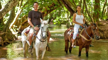 Samaná VIP Tour with Horseback Riding & Lunch