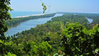 Private Tour of the Tortuguero National Park Canals via Boat