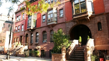 Mount Morris Park Historic Walking Tour with Lunch