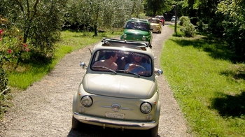 Chianti Hills Tour via Fiat 500 with Grape Harvesting & Tastings