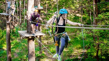 Admission to TreeTop Challenge High Ropes Adventure Park in Tamborine