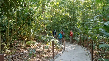 Carara National Park