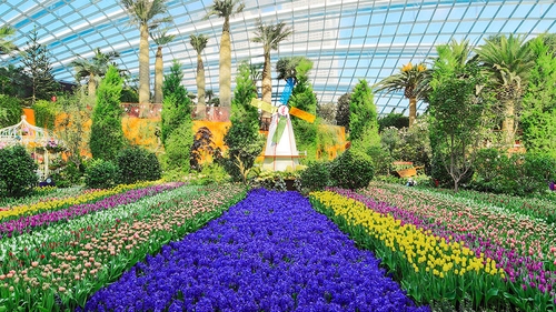 Garden By The Bay Annual Pass singapore attractions flexi pass & universal studios singapore Garden By The Bay Annual Pass singapore attractions flexi pass & universal studios singapore