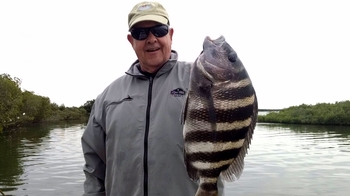 Inshore Fishing Expedition