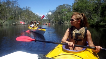 Guided Noosa Everglades Kayaking Tour