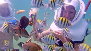 Sea Trek at a Private Beach in San Juan