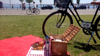 Self-Guided Half-Day City Bike Tour with Lunch