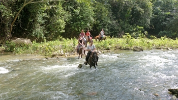 Montana Ranch Horseback Riding Excursion