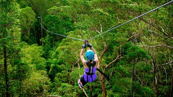 Admission to TreeTop Challenge Canyon Flyer Zipline Tour
