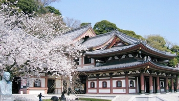 Private Full-Day Customized Tour of Kamakura