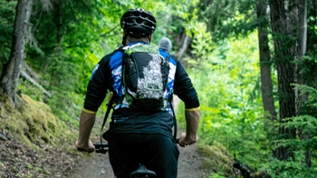 Mountain Bike Rental