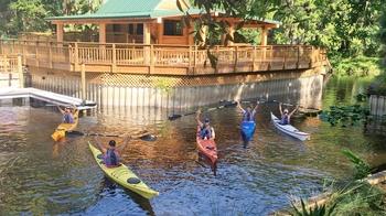 Guided Kayak Paddle through Single Creek