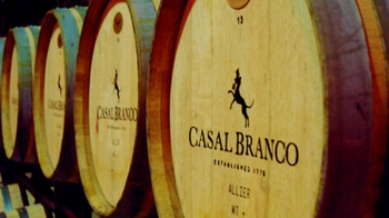 Day Trip to Historic Ribatejo Province Vineyards with Winetastings