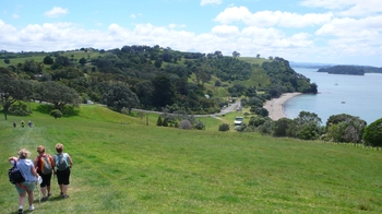 Private Full-Day Tour of the Matakana Coast with Food & Winetastings