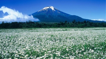 Private Guided Tour of Mt. Fuji Region by Car