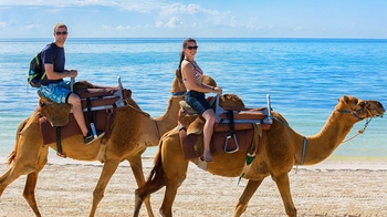 Camel Riding Tour with Snacks