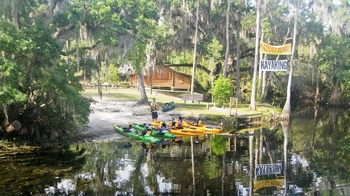 Guided Shingle Creek Kayaking Adventure