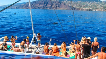 Amazing Madeira Jeep Adventure & Dolphin-Watching Cruise with Cabo Girão