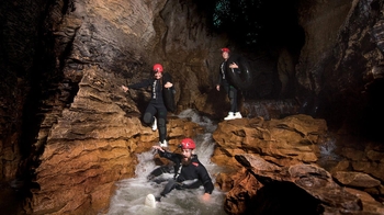 Ruakuri Caves Black Water Rafting with Kiwi Bird Experience