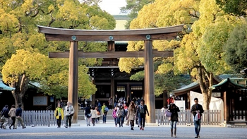 Private Full-Day Taxi Tour