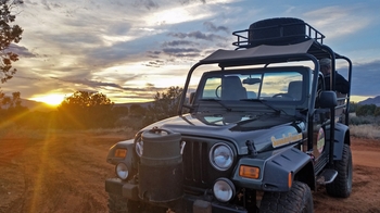 Wildlife Jeep Expedition