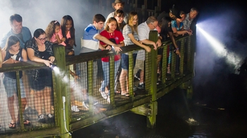 Night Shine Adventure at Gatorland