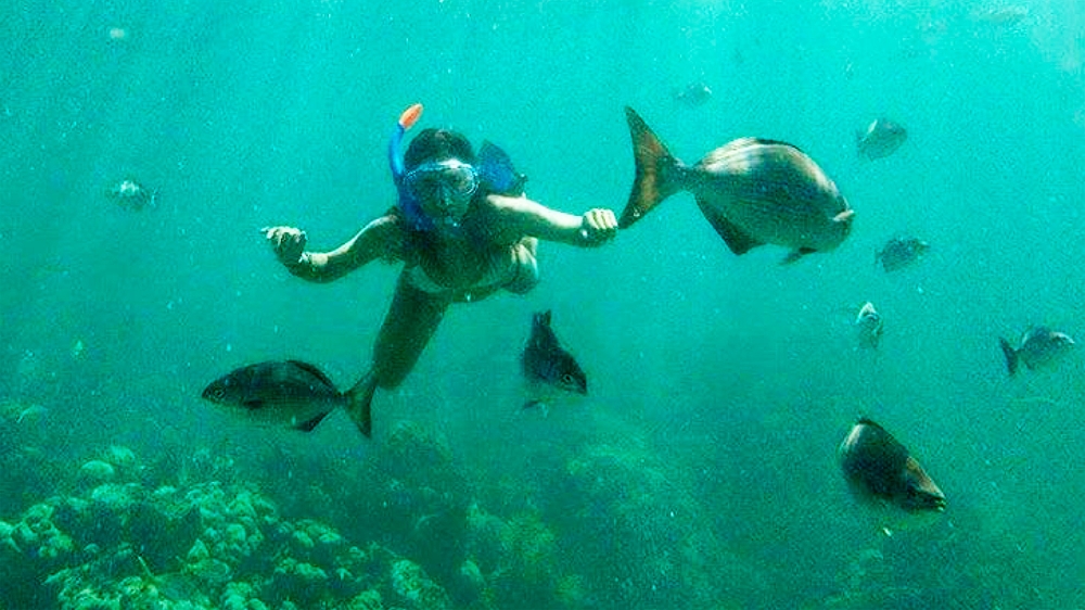 Laguna Beach Native Fish Snorkeling Tour 奥兰治县 Expedia