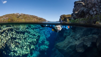 Geysir Hot Spring & Gullfoss Waterfall Tour with Snorkeling in Silfra