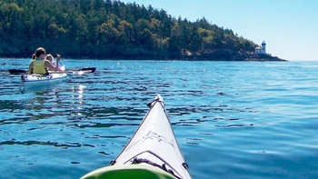 Full-Day, Half-Day, or Sunset San Juan Island Kayak Tour