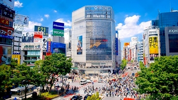 Private Full-Day Shopping Tour