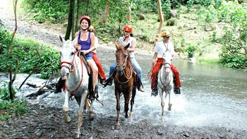 Waterfall Horseback Riding Tour