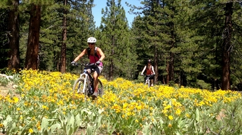 Guided Beginner Mountain Biking Trail Ride