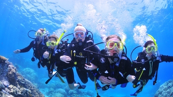 Outer Great Barrier Reef Cruise & Diving Tour with Lunch