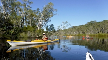 Self-Guided Noosa Everglades Kayak Tour